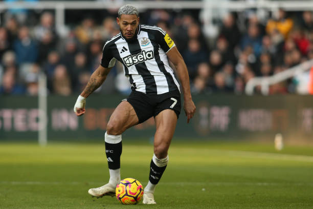 牌影响力 牌影响力