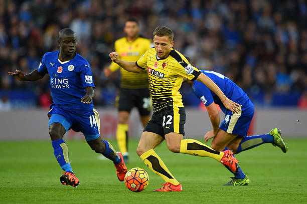 职业体育界 职业体育界