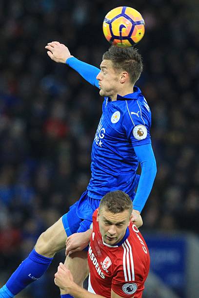 引起了球迷 引起了球迷